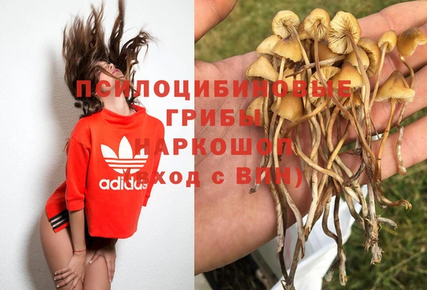 первитин Зерноград